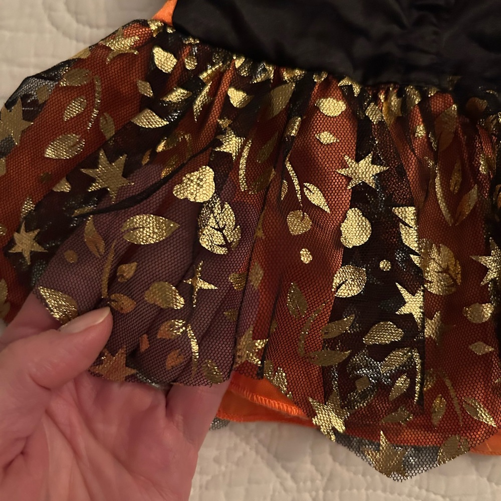 Build a Bear LOT - includes stuffed Dino, Anna dress/shoes, Elsa dress/shoes … - Picture 8 of 10